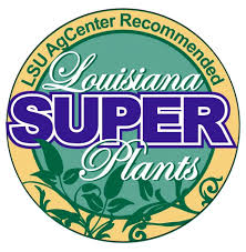 Louisiana Super Plants logojpg